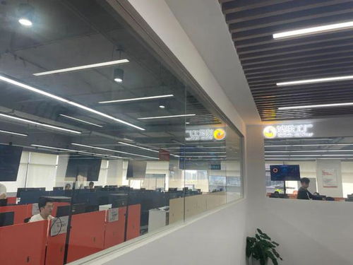 大虹橋園區(qū) 代理代辦服務(wù)的嶄新機遇不容忽視